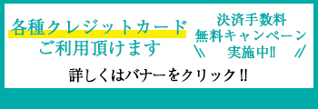 クレジットカード利用ok!